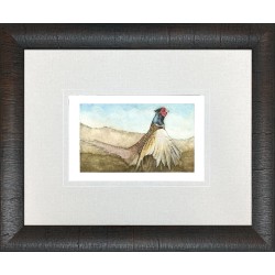 JL- PHEASANT 3